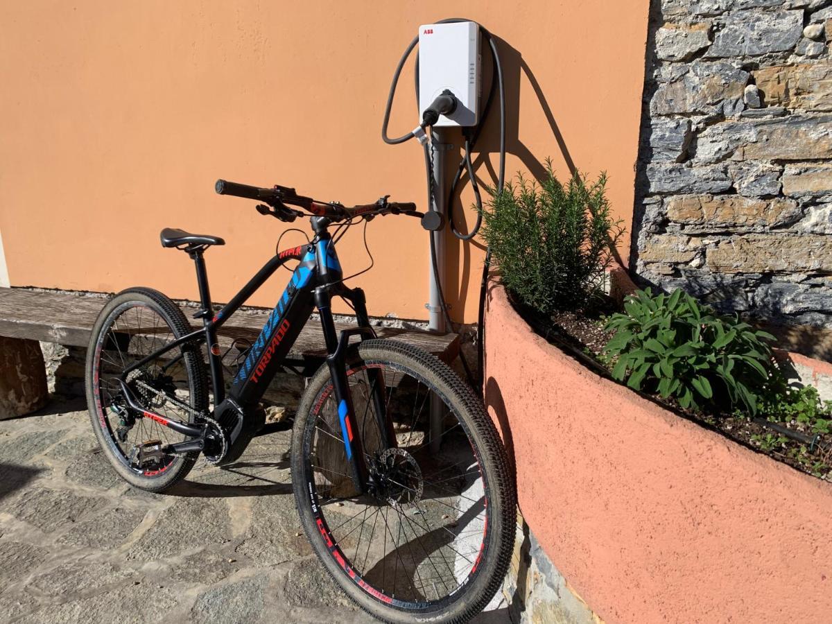 Agriturismo Gli Ulivi Garlenda Bagian luar foto