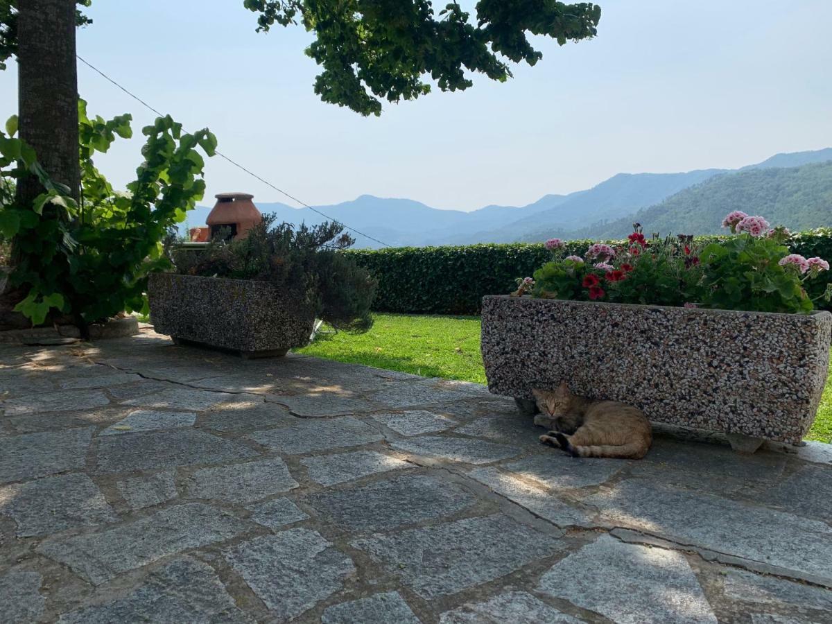 Agriturismo Gli Ulivi Garlenda Bagian luar foto